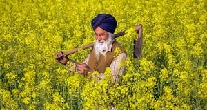 बिहार सरकार राज्य के 71 लाख किसानों को एक खास मौका दे रही है। 6 से 9 जनवरी तक फार्मर आईडी के लिए प्रदेश में विशेष कैंप लगाए जा रहे हैं।