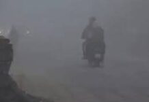 हरियाणा में ठंडी हवा के कारण ठिठुरन बढ़ गई है। सार्वजनिक स्थलों पर सुबह के समय लोगों की आवाजाही कम रही।