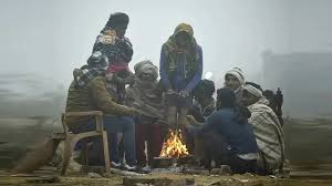 शीतलहर और पाला कृषि फसलों को भी गंभीर नुकसान पहुंचाते हैं। किसानों को सलाह दी गई है कि वे बोर्डों मिश्रण या कॉपर ऑक्सी-क्लोराइड का छिड़काव करें। शीतलहर और पाला कृषि फसलों को भी गंभीर नुकसान पहुंचाते हैं। किसानों को सलाह दी गई है कि वे बोर्डों मिश्रण या कॉपर ऑक्सी-क्लोराइड का छिड़काव करें।