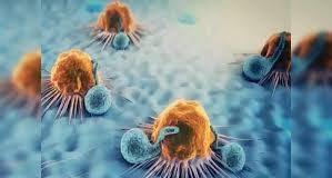 5 वजहों से 40 साल के लोगों में तेजी से बढ़ रहा कैंसर, Dr. कहा-तुरंत करें 4 काम, वरना बीमारी में कटेगा बुढ़ापा भारत में बढ़ता वायु प्रदूषण भी युवाओं में कैंसर का एक बड़ा कारण बन रहा है। PM2.5 जैसे खतरनाक प्रदूषक शरीर में सूजन बढ़ाते हैं