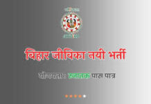 बिहार जीविका ने डोमेन एक्सपर्ट की वैकेंसी निकाली है। चयनित कैंडिडेट्स को 80 हजार सैलरी मिलेगी।
