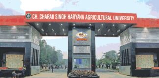 पिछले सप्ताह एचएयू के दो असिस्टेंट प्रोफेसर को एक छात्रा के साथ छेड़छाड़ के आरोप में निलंबित किया गया है।