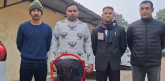 Haryana: अंबाला एसटीएफ ने पकड़े दो पाकिस्तानी नागरिक, जम्मू से हुए थे फरार अंबाला में स्पेशल टास्क फोर्स ने मंगलवार को एक बड़ी सफलता हासिल की है।