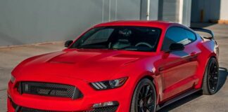 ईशान किशन हार्दिक पांड्या और सूर्य कुमार यादव जैसे प्लेयर्स की तरह की लग्जरी कारों के दीवाने हैं।