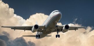 करीब एक वर्ष पहले तक युवाओं में अमेरिका जाने का जबरदस्त क्रेज था, लेकिन अमेरिका से भारतीयों के डिपोर्ट होने के बाद अब युवाओं का रुझान अन्य देशों की ओर बढ़ा है।