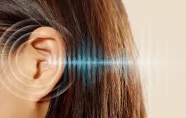 6 आदतें जो अनजाने में करती हैं कान को डैमेज, सुुनने की क्षमता पर पड़ता है असर ये तो सभी जानते हैं कि ज्यादा शोर, तेज आवाज में ईयरफोन या स्पीकर पर गाने सुनना, कान में क्यू-टिप डालना जैसी चीजें कान को डैमेज कर सकती हैं।