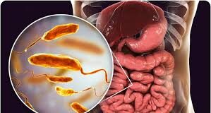 आज की भागदौड़ भरी जिंदगी में तला-भुना और प्रोसेस्ड फूड लोगों की डेली डाइट का हिस्सा बन चुका है।