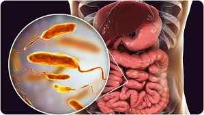 आज की भागदौड़ भरी जिंदगी में तला-भुना और प्रोसेस्ड फूड लोगों की डेली डाइट का हिस्सा बन चुका है। आज की भागदौड़ भरी जिंदगी में तला-भुना और प्रोसेस्ड फूड लोगों की डेली डाइट का हिस्सा बन चुका है।