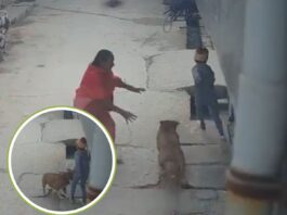 दीपांशु के पिता सुनील नेहरा ने बताया कि वे सुबह अपनी पत्नी के साथ जींद जा रहे थे। अचानक पड़ोस से फोन आया कि उसके बेटे को कुत्ते ने काट लिया।