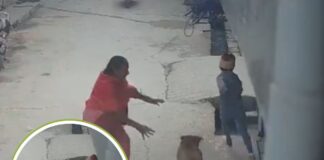 दीपांशु के पिता सुनील नेहरा ने बताया कि वे सुबह अपनी पत्नी के साथ जींद जा रहे थे। अचानक पड़ोस से फोन आया कि उसके बेटे को कुत्ते ने काट लिया।