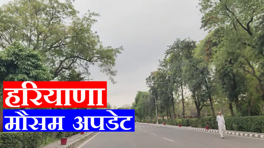 हरियाणा में 11 अप्रैल से कमजोर पश्चिमी विक्षोभ सक्रिय होने के साथ तापमान में धीरे-धीरे वृद्धि शुरू होगी। सिरसा, फतेहाबाद, पंचकूला, अंबाला और यमुनानगर में छिटपुट बारिश की संभावना है। हरियाणा में 11 अप्रैल से कमजोर पश्चिमी विक्षोभ सक्रिय होने के साथ तापमान में धीरे-धीरे वृद्धि शुरू होगी। सिरसा, फतेहाबाद, पंचकूला, अंबाला और यमुनानगर में छिटपुट बारिश की संभावना है।