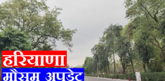 हरियाणा में 11 अप्रैल से कमजोर पश्चिमी विक्षोभ सक्रिय होने के साथ तापमान में धीरे-धीरे वृद्धि शुरू होगी। सिरसा, फतेहाबाद, पंचकूला, अंबाला और यमुनानगर में छिटपुट बारिश की संभावना है।