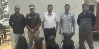 रोहतक में सीमेंट और सरिया का कारोबार करने वाले व्यापारी प्रवीण सैनी को अज्ञात हमलावर ने दिनदहाड़े गोली मार दी।