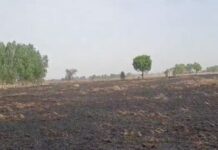 पंजाब के किसानों की काफी समय से मांग थी कि हांसी-बुटाना नहर की सफाई की जाए।