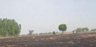 रोहतक जिले के किलोई खास व रुड़की गांव में सोमवार को एक चिंगारी से 45 मिनट में साढ़े 34 एकड़ में खड़ी सात किसानों की गेहूं की फसलें जलकर राख हो गईं।