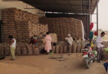 सीएम फ्लाइंग टीम को आदमपुर क्षेत्र के ग्वार के गोदामों में अनाज का अवैध स्टॉक होने की सूचना मिली थी।