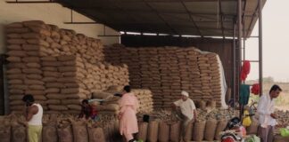 सीएम फ्लाइंग टीम को आदमपुर क्षेत्र के ग्वार के गोदामों में अनाज का अवैध स्टॉक होने की सूचना मिली थी।