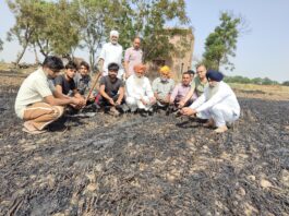 सिरसा के गांव मीरपुर में 26 एकड़ गेहूं की फसल आग लगने से पूरी तरह नष्ट हो गई।