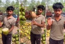 गर्मियों के मौसम में शरीर को हाइड्रेटेड रखने के लिए नारियल पानी से बेहतर और कुछ नहीं है।