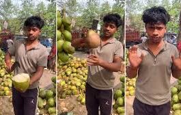 गर्मियों के मौसम में शरीर को हाइड्रेटेड रखने के लिए नारियल पानी से बेहतर और कुछ नहीं है।