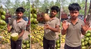 गर्मियों के मौसम में शरीर को हाइड्रेटेड रखने के लिए नारियल पानी से बेहतर और कुछ नहीं है।