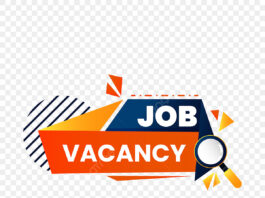 दिल्ली में निकली डीईओ और एमटीएस की भर्ती, 12वीं पास भी कर सकते हैं आवेदन भर्ती से जुड़ा पूरा विवरण नीचे पढ़ सकते हैं।