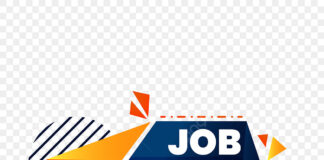 दिल्ली में निकली डीईओ और एमटीएस की भर्ती, 12वीं पास भी कर सकते हैं आवेदन भर्ती से जुड़ा पूरा विवरण नीचे पढ़ सकते हैं।