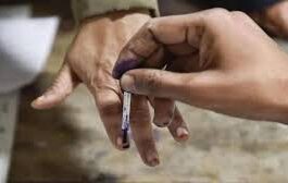 नगर पालिका उकलाना, सांपला, धारूहेड़ा और सांपला में अध्यक्ष व पार्षद के लिए वोट डलेंगे।