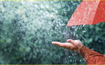 हरियाणा में प्री-मानसून की दस्तक, 20 जून तक बारिश का अलर्ट; हिसार में आंधी से भारी तबाही! हरियाणा में 18 से 20 जून को एक नया पश्चिमी विक्षोभ सक्रिय होने जा रहा है।