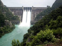पहाड़ों में बारिश से भाखड़ा डैम में बढ़ा जलस्तर, सिंचाई को मिलेगी रफ्तार, किसानों को मिलेगा लाभ भाखड़ा डैम