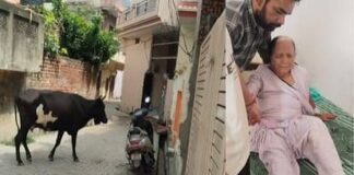 महज 30 घंटे पहले ही शहर में एक सांड ने 10वीं कक्षा की स्कूली छात्रा खुशी को सींगों से उठाकर सड़क पर पटक दिया था।