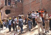 लेकिन अफसोस उसी गुहार कोई काम न आई। जब तक मलबा हटा गया, वह मर चुकी थी।