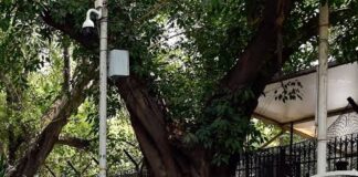 फाइव स्टार होटल, मर्सिडीज और तीन रईसजादे… लड़कियों की आपबीती के बाद दिल्ली पुलिस एक्शन में! देश की राजधानी दिल्ली एक बार फिर शर्मसार हुई है। नगालैंड की एक महिला ने 3 'रईसजादों' पर बेहद संगीन आरोप लगाए हैं